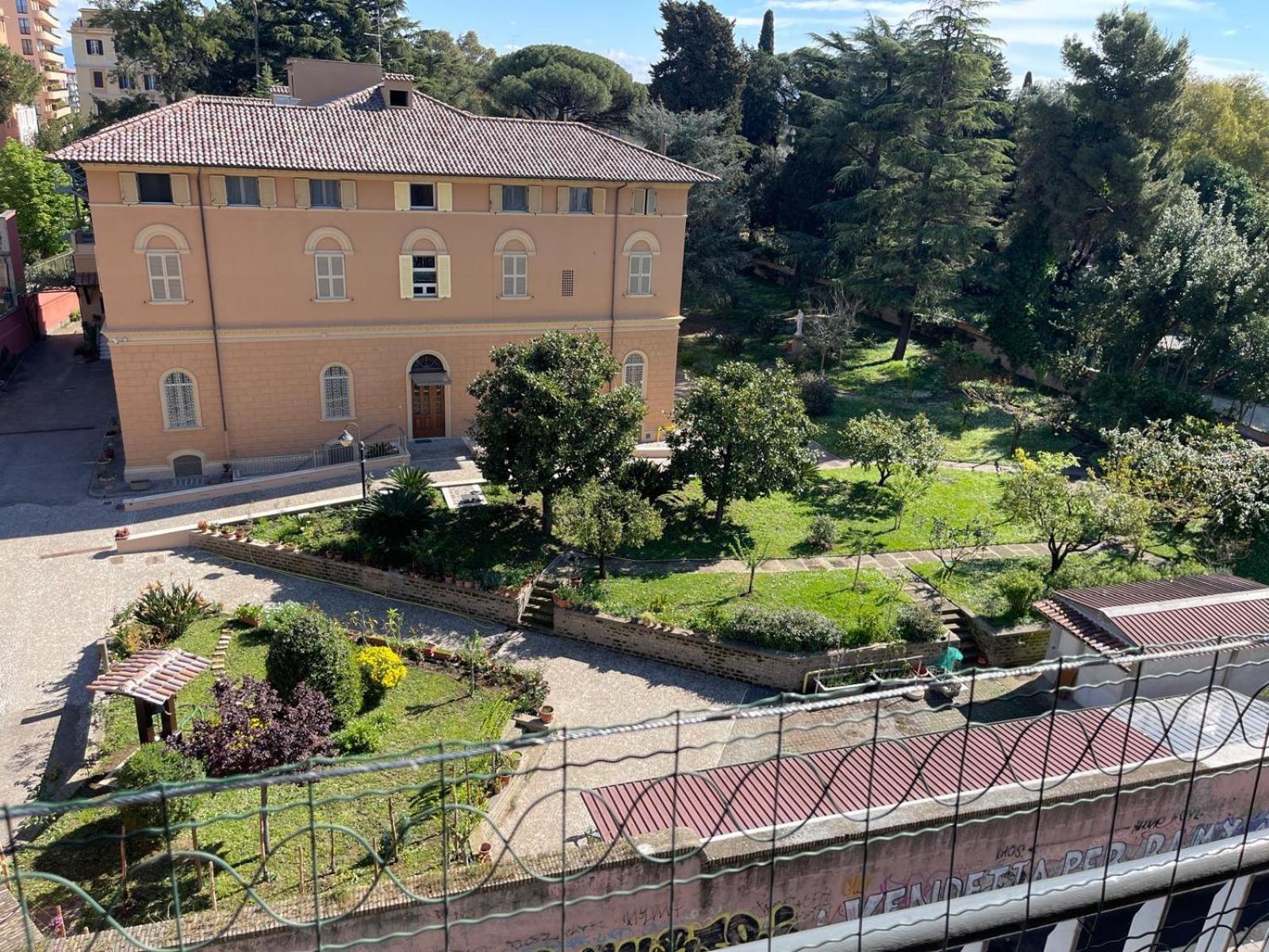 Edo's Rhome Roma